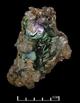 Natural History Museum Specimens Impressions: Hematite