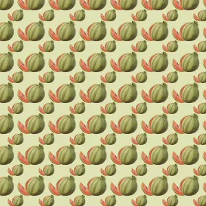 L'histoire Se Répète Impressions: Motif Répétitif - Pastèques.
