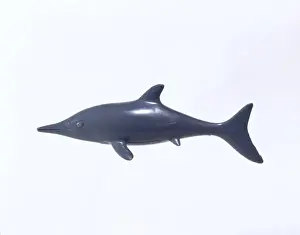 Prehistoric Marine Reptile Impressions: Ichthyosaur