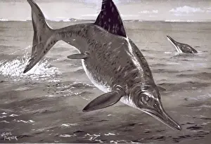Ichthyosaurus Illustration Impressions: Ichthyosaurus