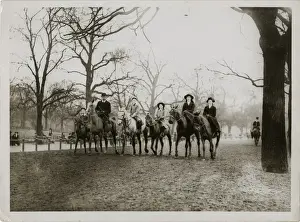 Traditional Equestrian Attire Impressions: (insert)