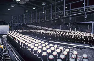 Automated Manufacturing Process Impressions: (insert)
