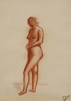 Antique Image Impressions: (insert)