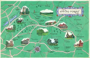 Œuvres Originales De La Plus Ancienne Maison D'édition De Cartes Postales Et De Calendriers De Grande-Bretagne Impressions: Carte - Forêt d'Epping