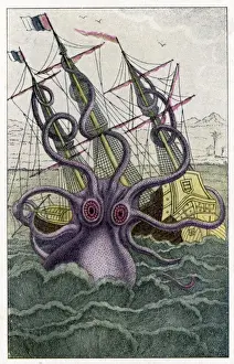 Le kraken attaque un navire