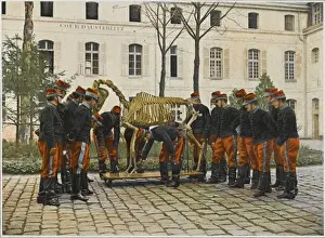 Historical Horse Riding Images Impressions: Learning about Horses
