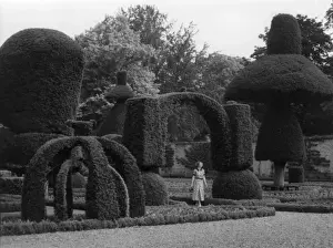 Westmorland Impressions: Levens Hall Topiaire
