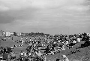 West Sussex England Impressions: Littlehampton Common