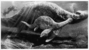 Le monstre de Lochness