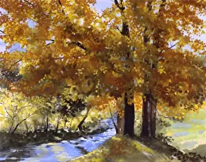 Malcolm Greensmith Painting Impressions: Maple Fall