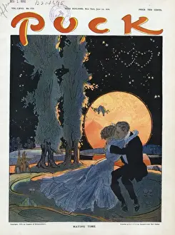 Puck Magazine Artwork Impressions: Mating time