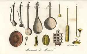 Giulio Ferrario Impressions: Instruments à corde et percussions chinoises