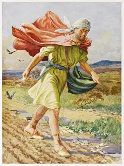 Bible Parables Impressions: Parable of the Sower