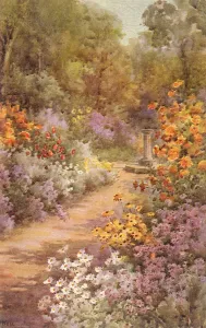 Photos Maintenant Impressions: Les fleurs et le chemin