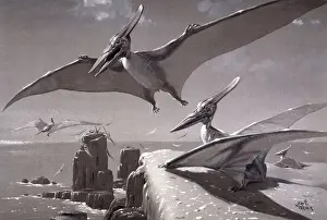 Éteinte Impressions: Pteranodon