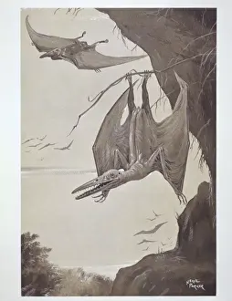 Cretaceous Period Animals Impressions: Pterodactyl
