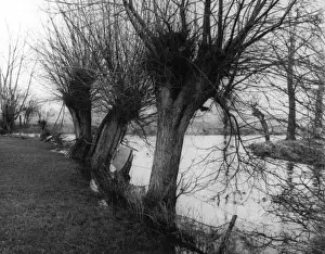 English River Landscapes Impressions: River Confluence