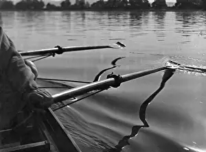 Bateau à voile ramesnes