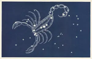 Scorpion Impressions: Scorpio