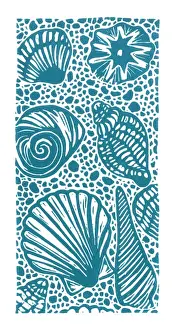 Marine Life Prints Impressions: A selection of seashells