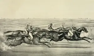 American Horse Racing Impressions: A sharp pace from start to finish