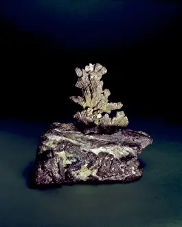 North American Minerals Impressions: Silver on Copper