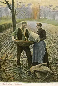 Farming In Britain Impressions: SOWING