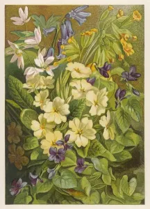 Printemps Impressions: Fleurs de mars et d'avril