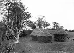 Early 1900s Rural Scene Impressions: Stack Garden