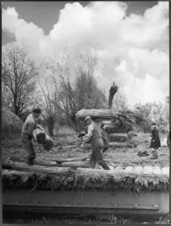 Cambridgeshire Landscape Photography Impressions: Stacking Reed for Thatch