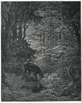 Le Stag et sa Réflexion