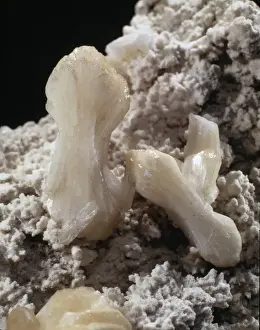 Natural History Museum Specimens Impressions: Stilbite