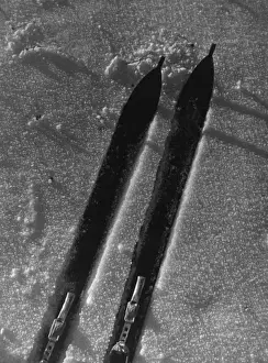 Skiing In The Snow Impressions: Study of Skis