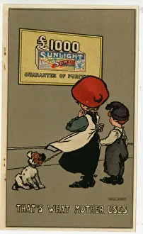 Sunlight Soap Advertisement Impressions: Sunlight Soap advertising insert