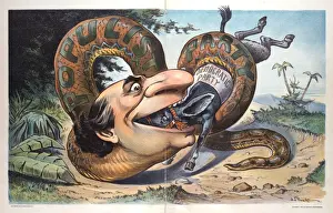 Puck Magazine Art Impressions: Swallowed