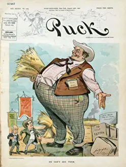 William Jennings Bryan Cartoon Impressions: He can t see them