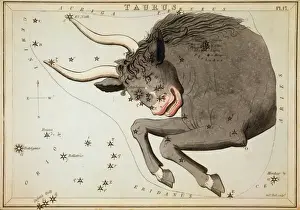 Impressions de Le taureau : Carte astronomique montrant le taureau du même nom qui forme la constellation et montre également les Pléiades ; date 1825 Taureau Impressions: Taurus