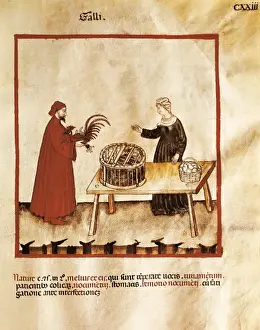 Tacuinum Sanitatis Impressions: Theatrum sanitatis (Codex 4182). Tacuinum Sanitatis