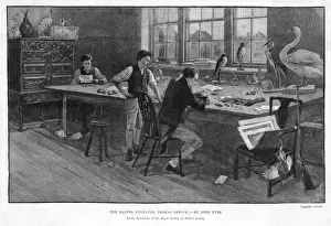 Thomas Bewick Impressions: Travail de Thomas Bewick
