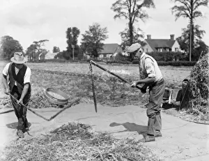 Britain Farming History Impressions: Threshing with Flails