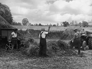 Britain Farming History Impressions: Threshing Straw