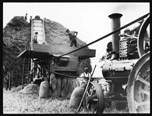Henley On Thames Impressions: Threshing Wheat