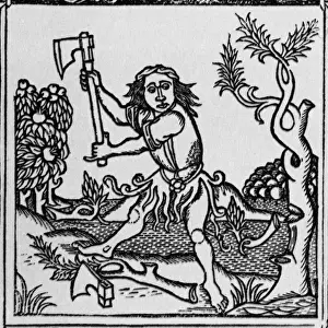 Historical Literature Impressions: The trees & the axe
