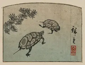 Antique Japanese Woodcuts Impressions: Turtles