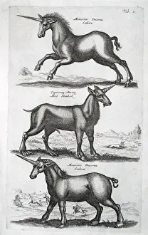 Bêtes Mythiques Impressions: Trois licornes.