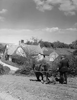 Farming In The 1960s Impressions: Using a Seed Drill