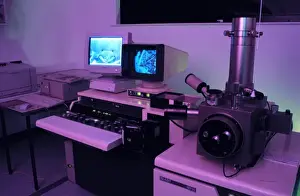 Scanning Electron Microscope Image Impressions: Variable pressure scanning electron microscope