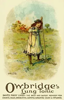 Early 20th Century Advertising Posters Impressions: Violets