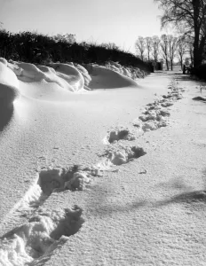 Scène D'hiver Impressions: Pieds dans la Neige