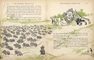 Poppy Field Impressions: Wizard of Oz / Field-Mice